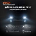 Bóng Led Grass H11-H8-H16 F6211CW 12V 30W 6000K 2 bóng/hộp Hiệu Osram