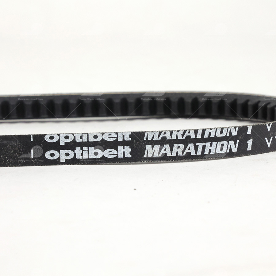 Dây curoa thang Optibelt  V10x625