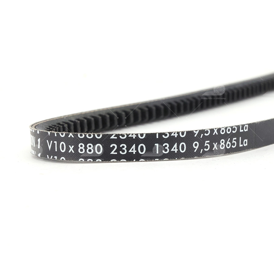 Dây curoa thang Optibelt  V10x880