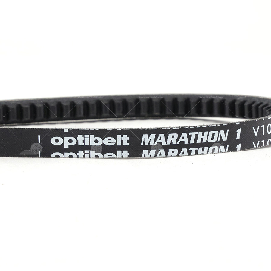 Dây curoa thang Optibelt  V10x980