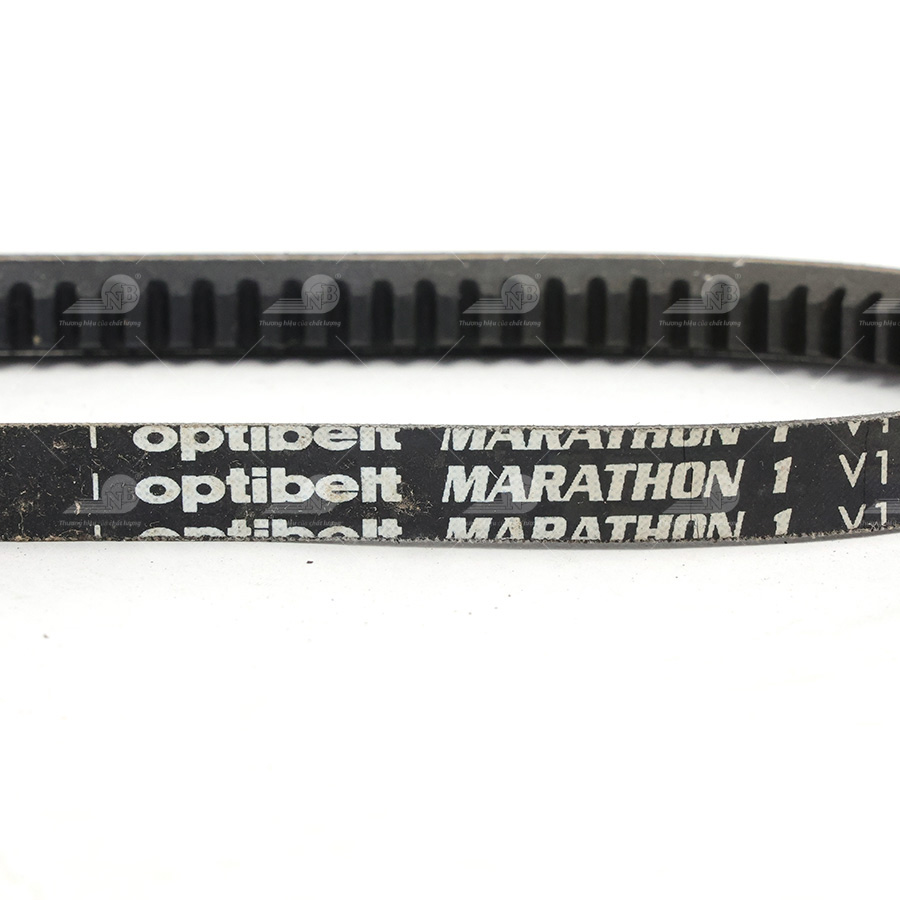 Dây curoa thang Optibelt  V13x675