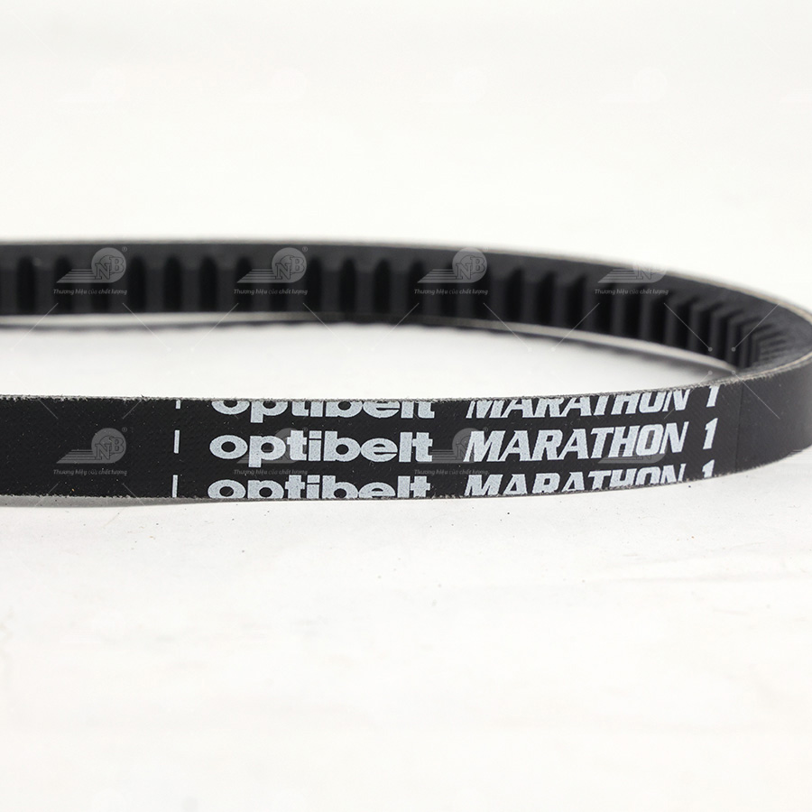 Dây curoa thang Optibelt  V13x900