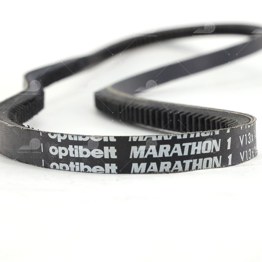 Dây curoa thang Optibelt  V13x1460