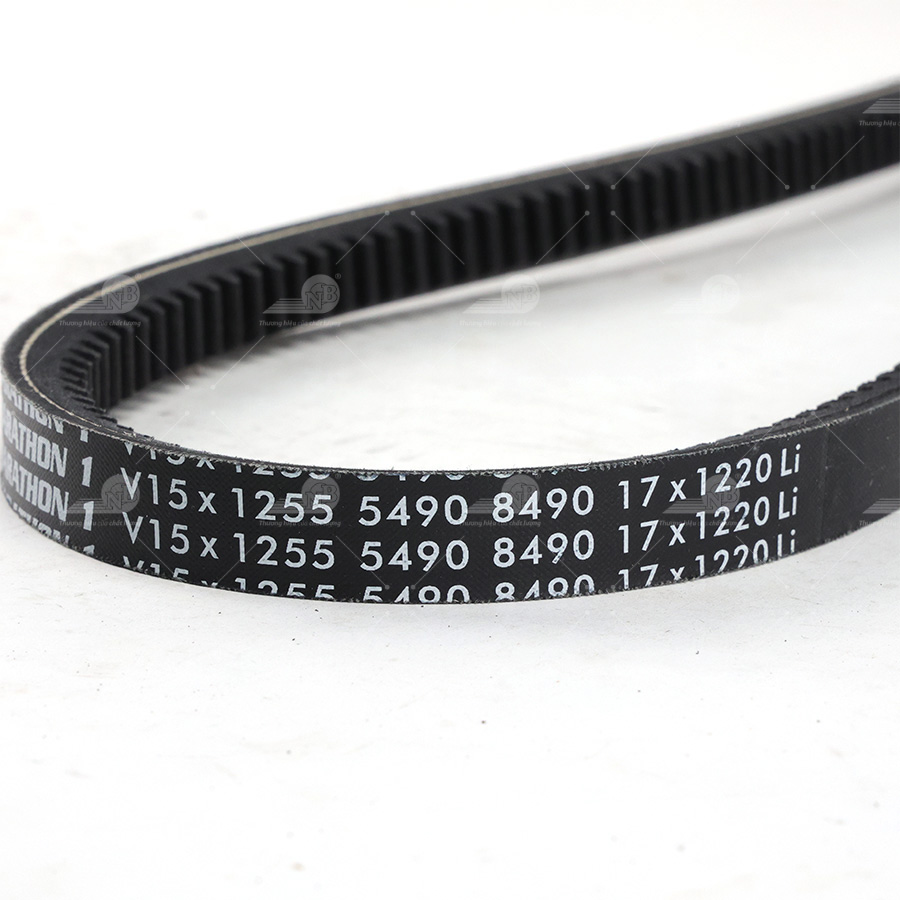 Dây curoa thang Optibelt  V15x1255