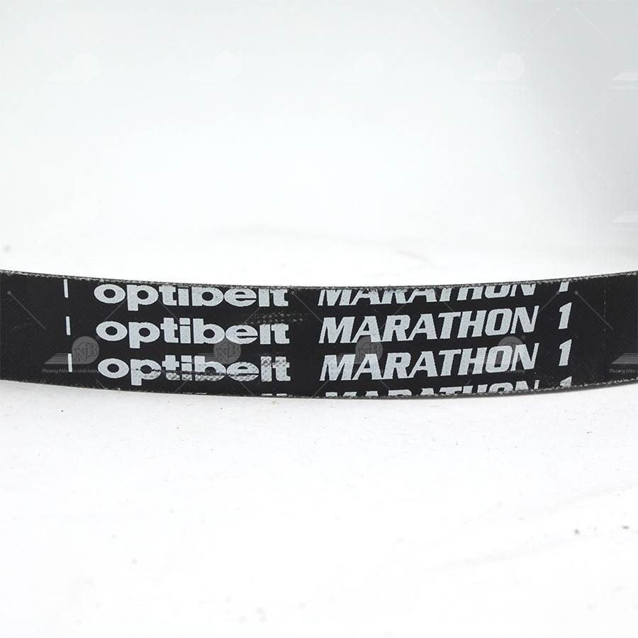 Dây curoa thang Optibelt  V15x1610