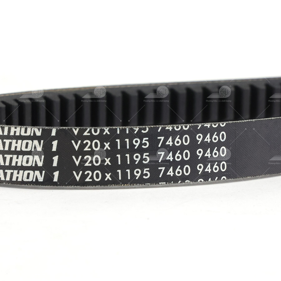 Dây curoa thang Optibelt  V20x1195