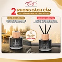Dầu thơm khử mùi AROMA CIND CD-2503 BVL SCENT