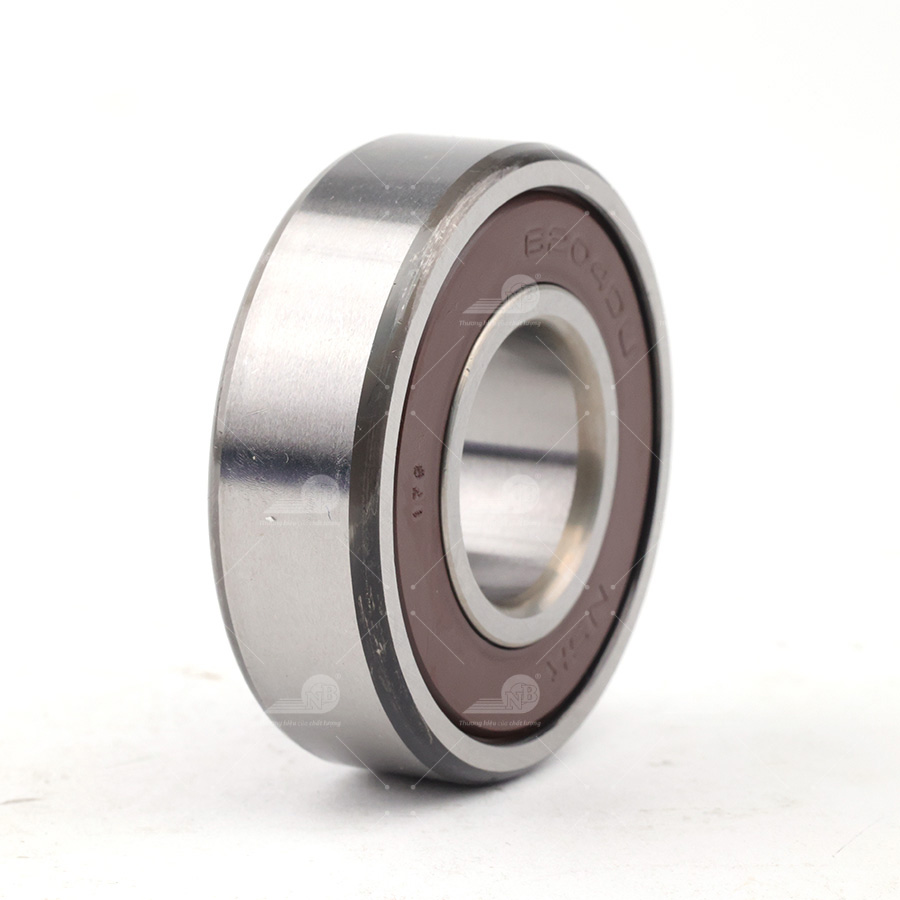 Bạc đạn NSK (Indo) 6204DDUCM