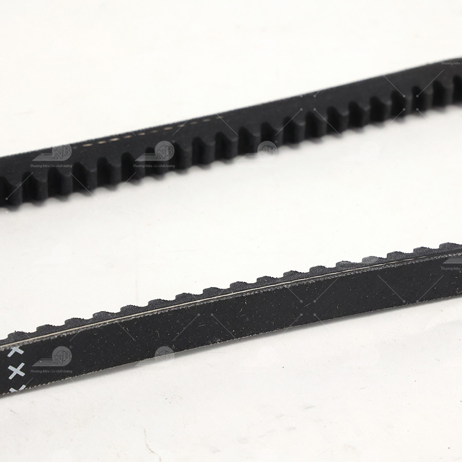 Dây curoa thang Optibelt  V10x625