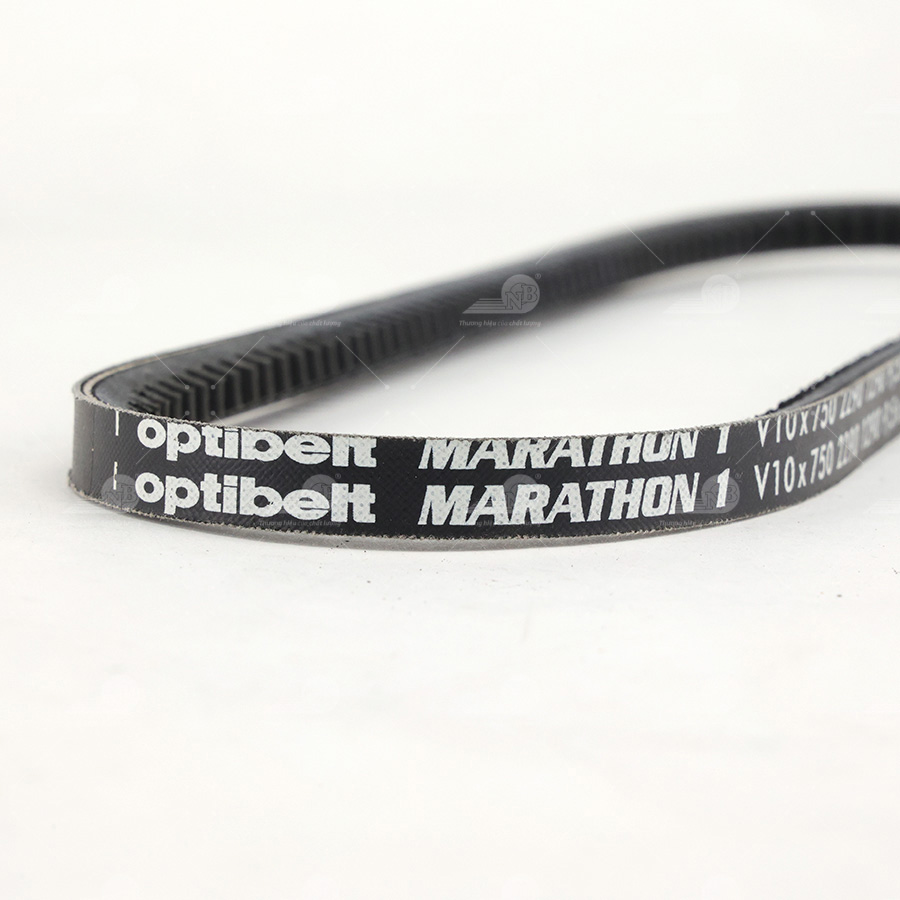 Dây curoa thang Optibelt  V10x750