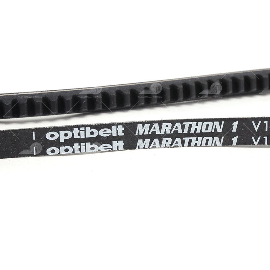 Dây curoa thang Optibelt  V10x930