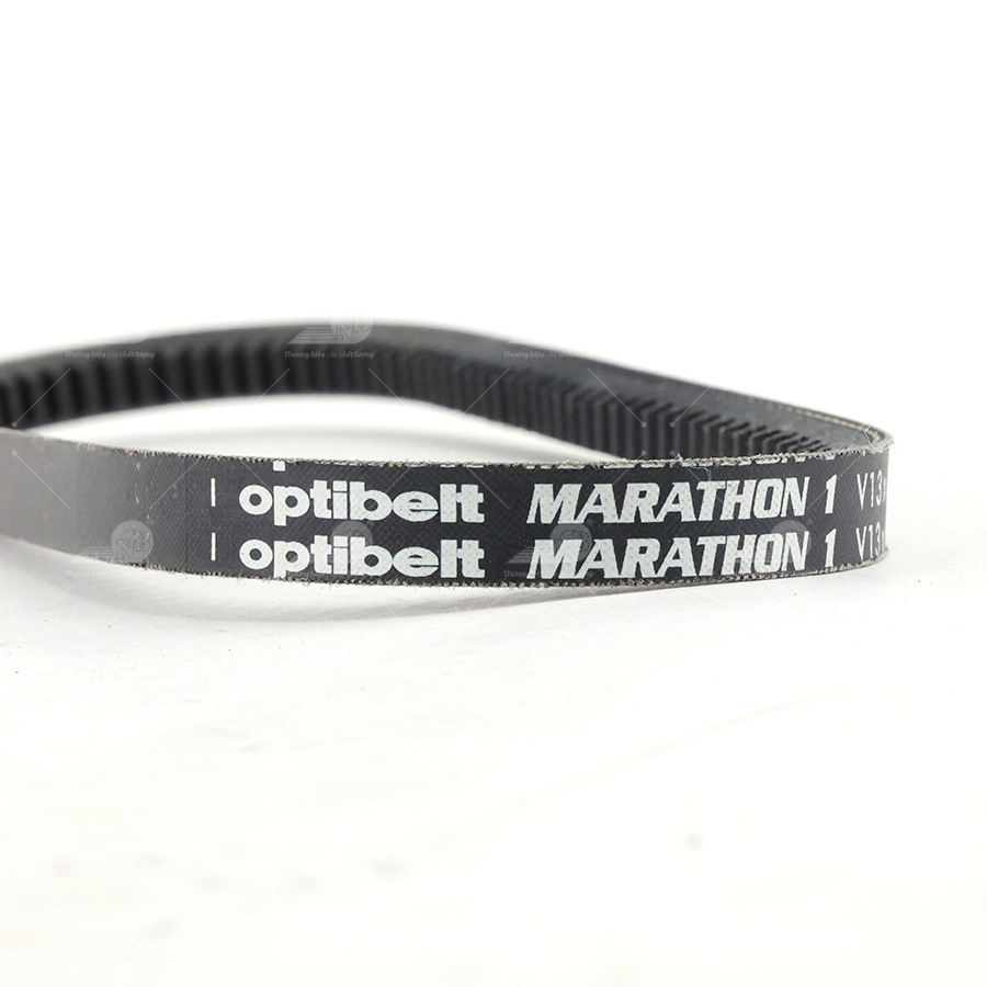 Dây curoa thang Optibelt  V13x620