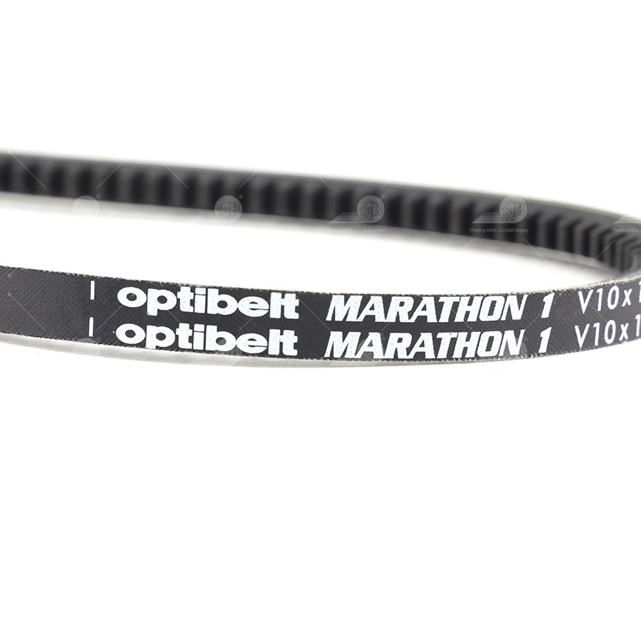 Dây curoa thang Optibelt  V10x1180