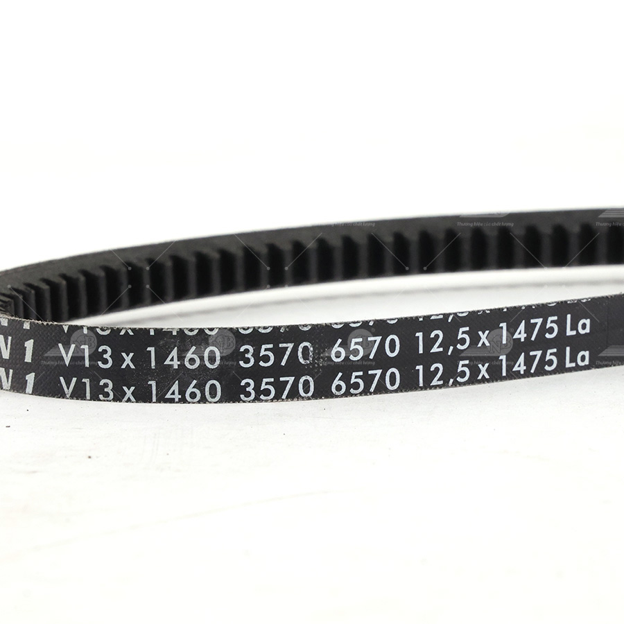 Dây curoa thang Optibelt  V13x1460