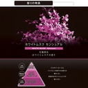 Dầu thơm BLANG LIQUID BX WHITE MUSK SENSUAL L2082 110ml đen