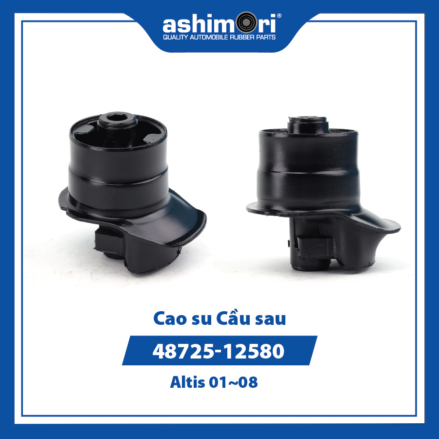 Cao su Cầu sau SBHTY-20020/OEM No.48725-12580